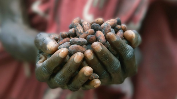 Mitigating the harmful effects of pesticide residues in cocoa in Africa