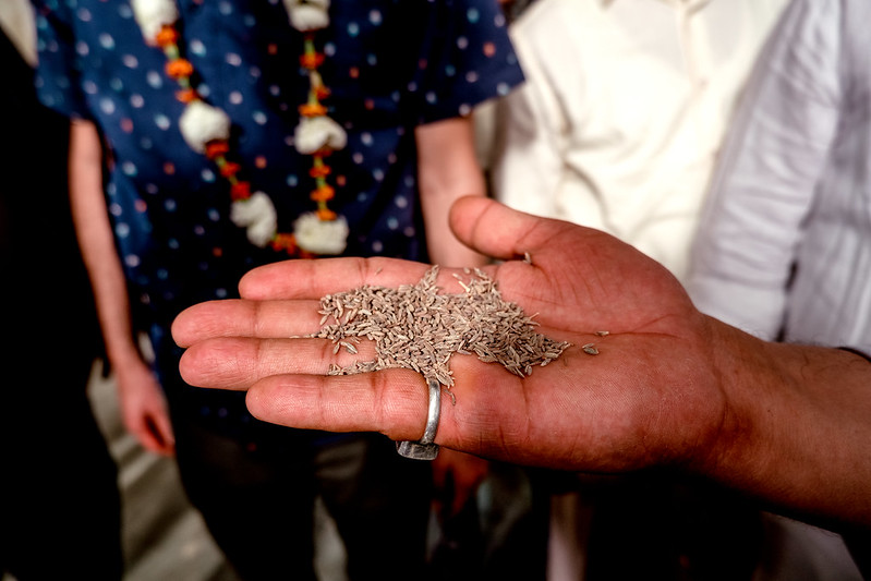 Strengthening Burkina Faso's sesame and cashew export capacity