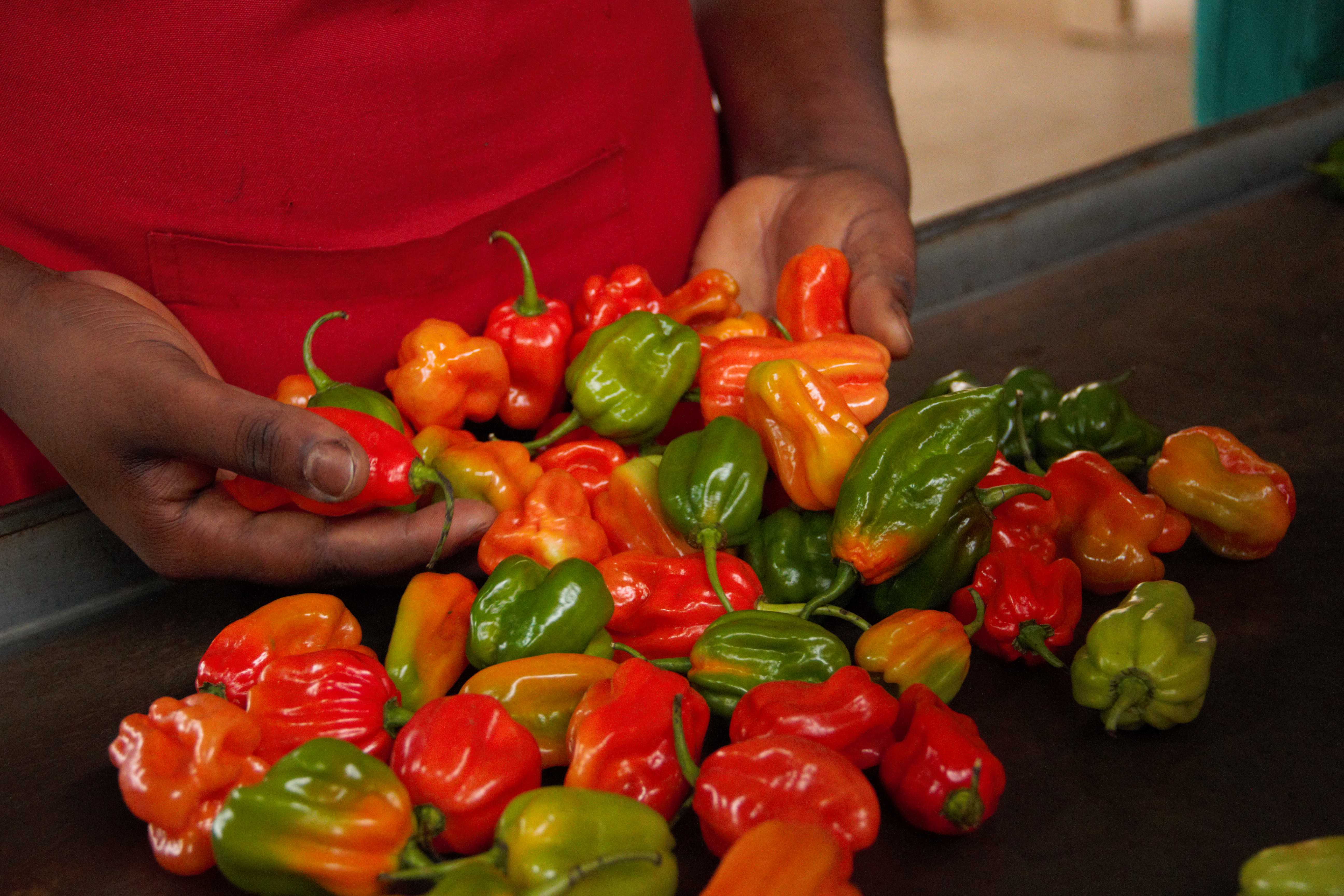 Enhancing food safety capacity of the pepper value chain in Jamaica to increase market access