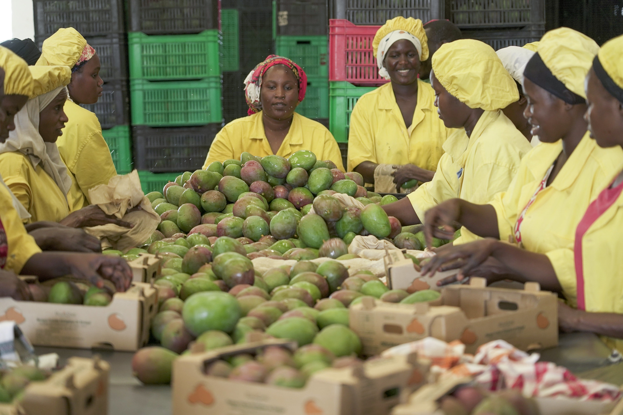 Gender Mainstreaming