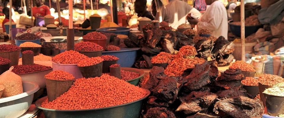 Using online tools to build food safety knowledge