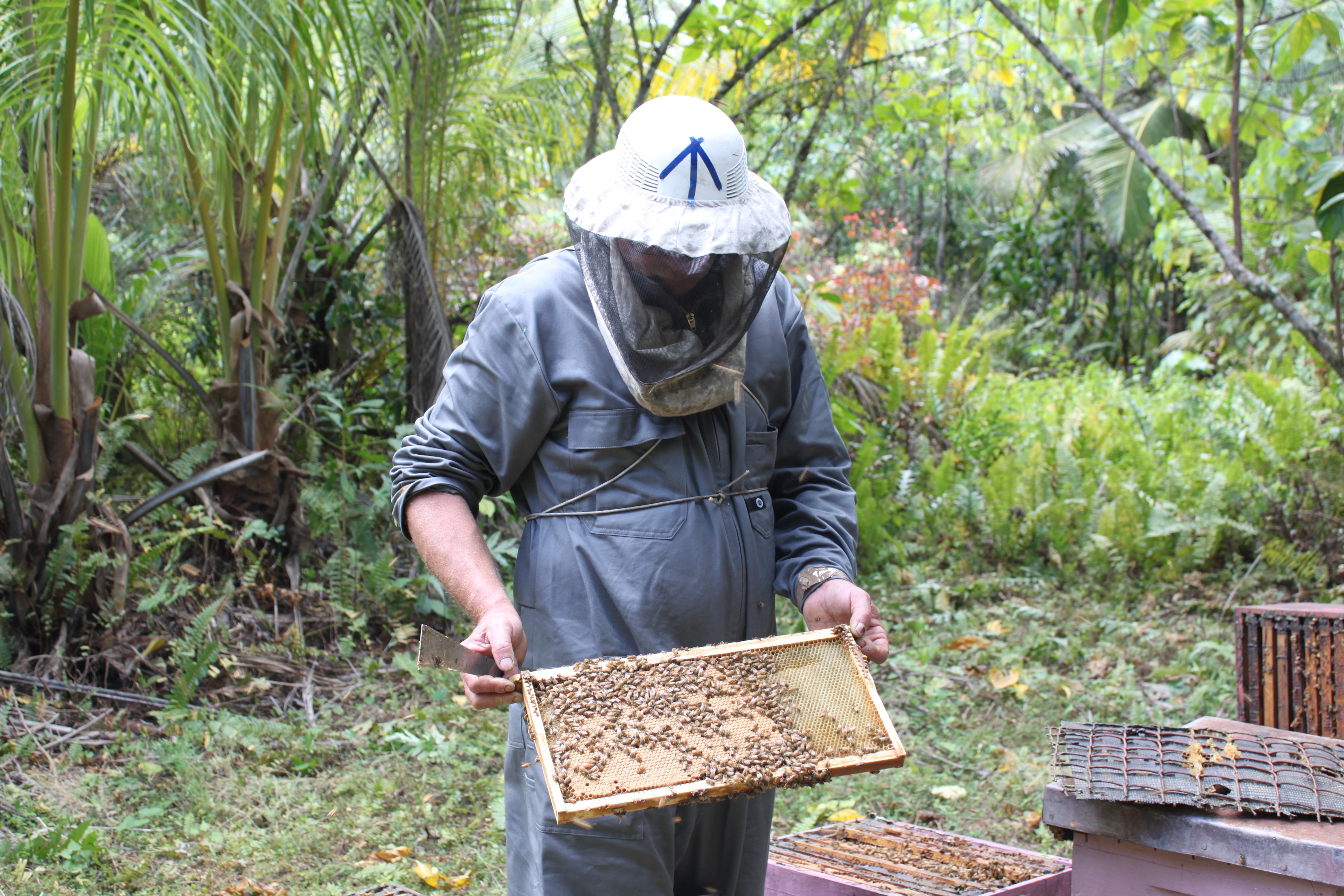 Pacific Beekeeping Enabling Environment (BEE) project