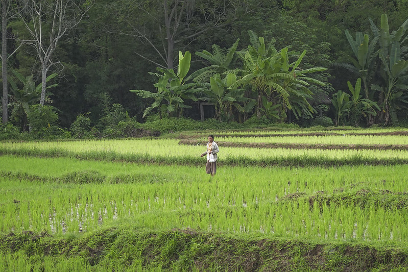 Transforming agriculture:  how biopesticides are reducing trade barriers