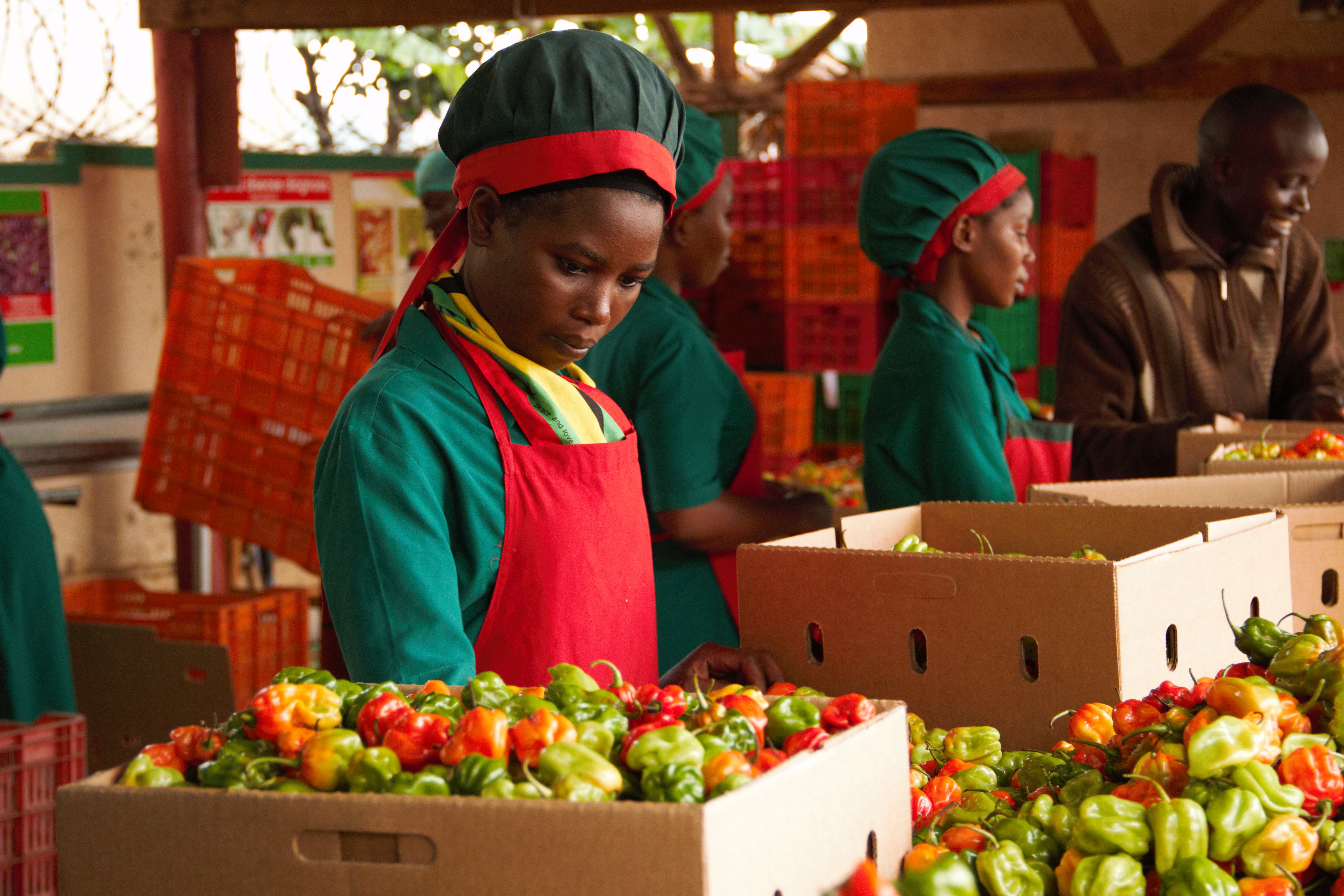 Enhancing market access for fruits and vegetables from Uganda