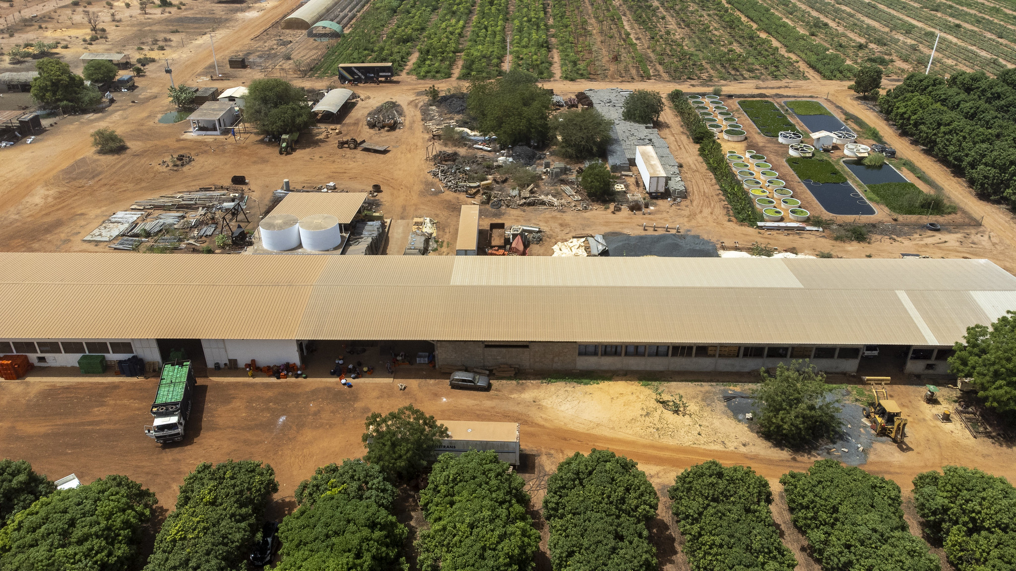 Strengthening Ethiopia’s Phytosanitary System to Promote Safe Trade in Pulses and Horticultural Products