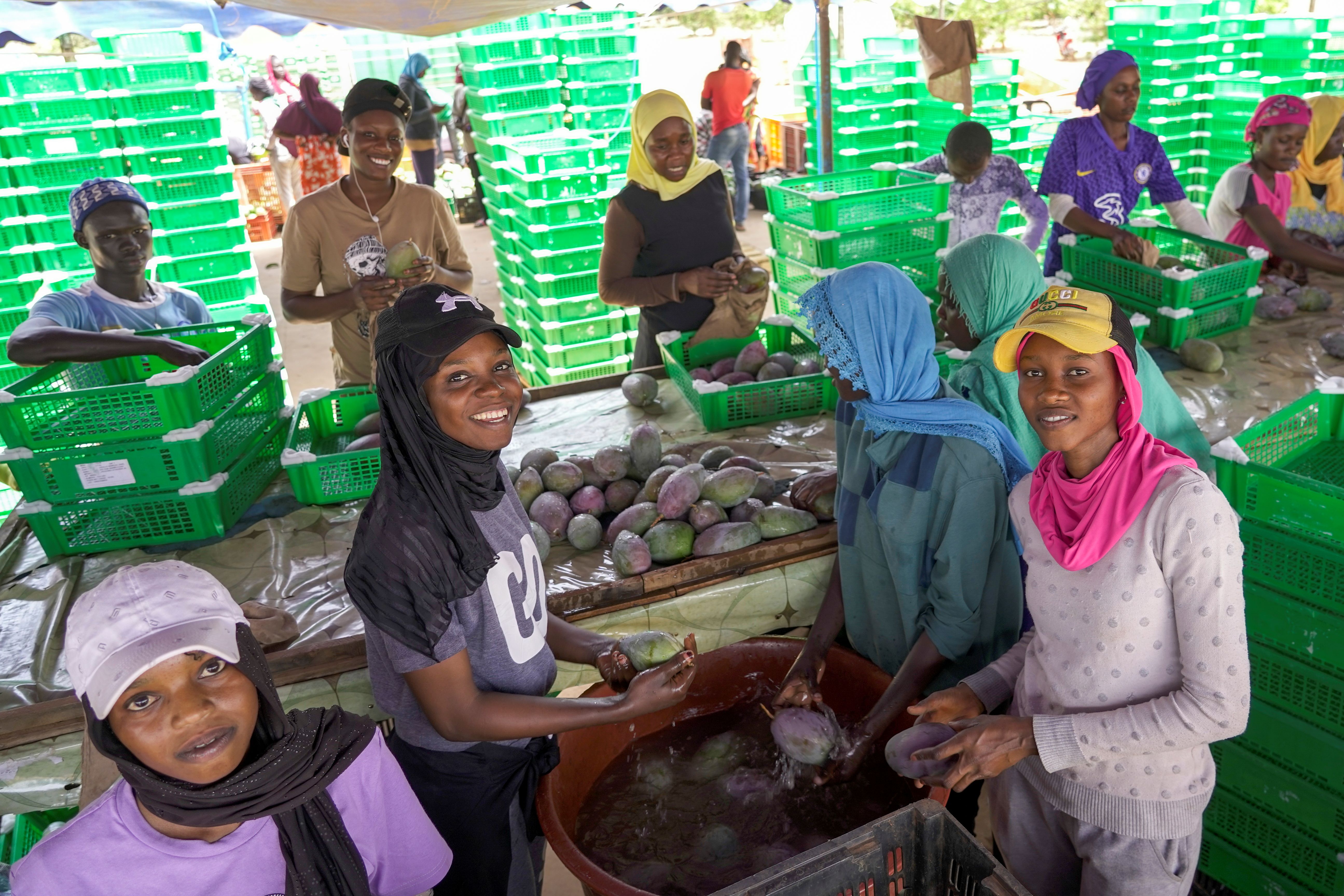 Opening the Door to Safe Trade: How More Inclusive SPS Systems Expand Market Opportunities for All