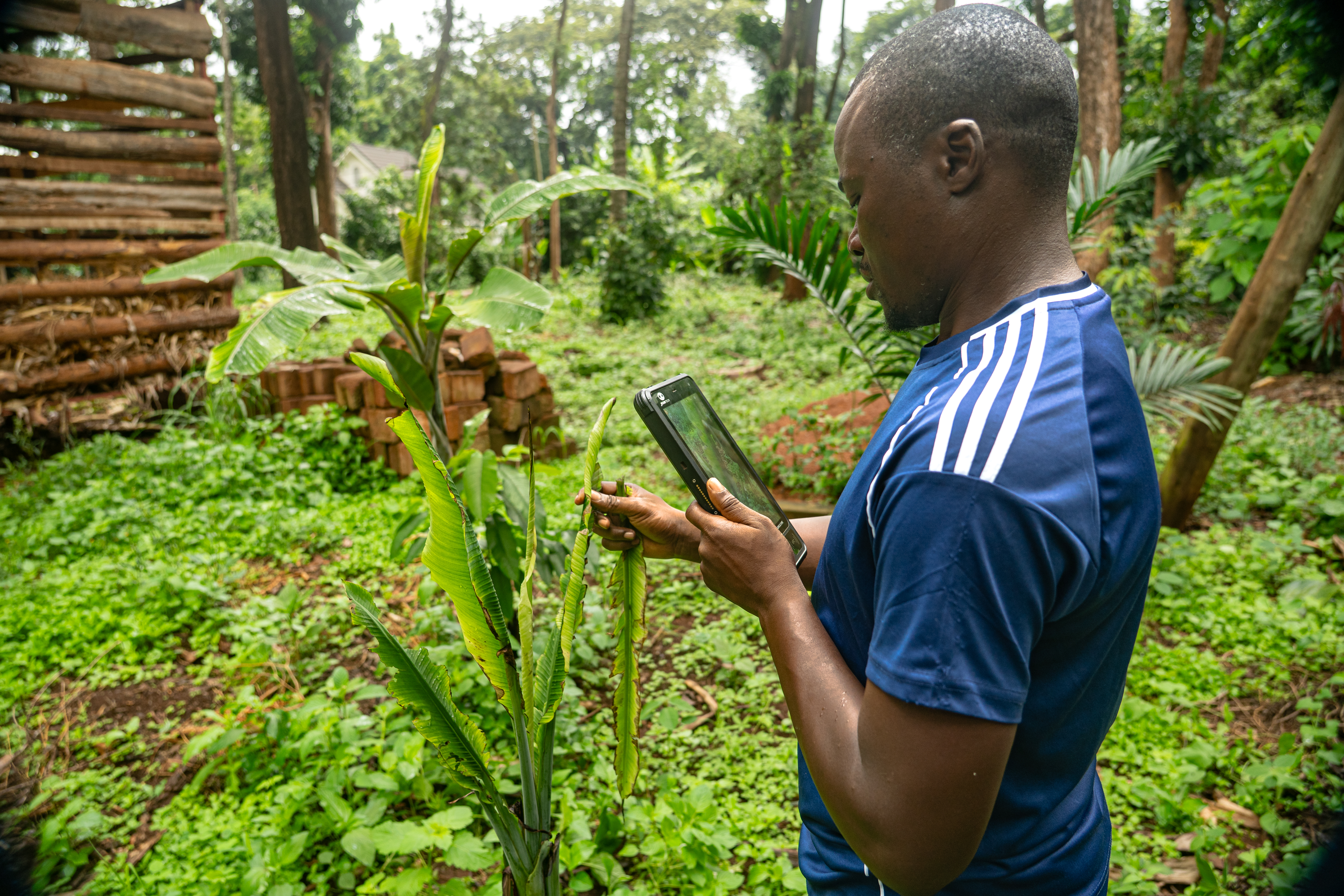 Reducing Pesticide Residue Risks in African Horticulture through Data-Driven Prioritization of Biopesticide Strategies