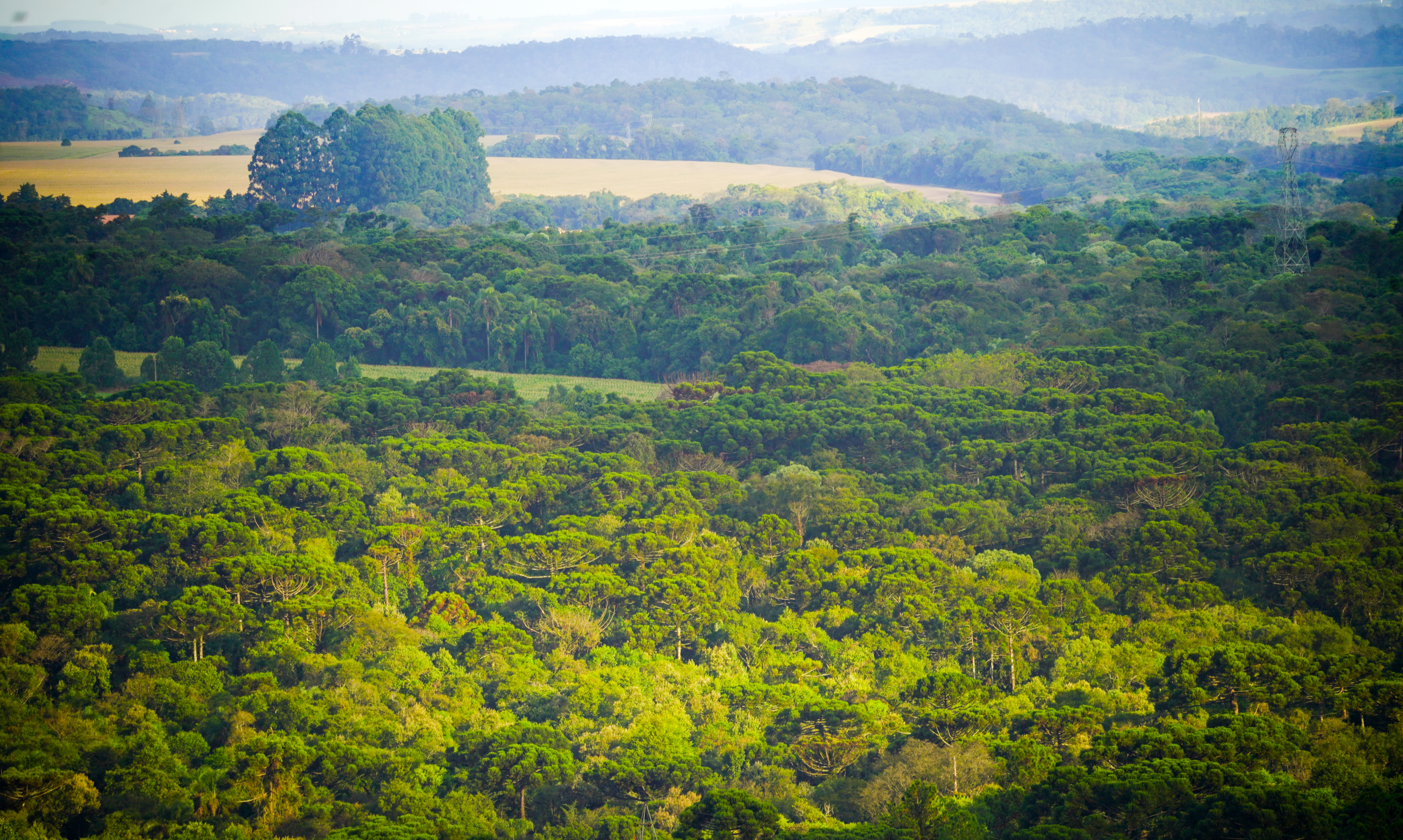 How SPS Systems Support Sustainable Trade and Climate Resilience