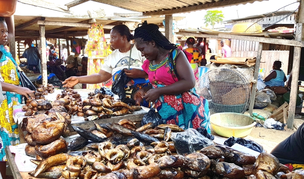 Improving market access for small scale fisheries in West Africa 