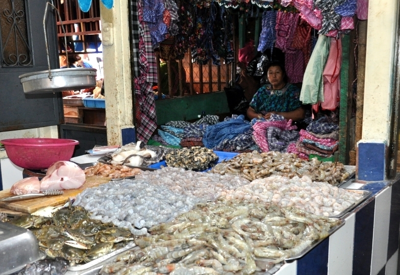 Strengthening food safety risk assessment