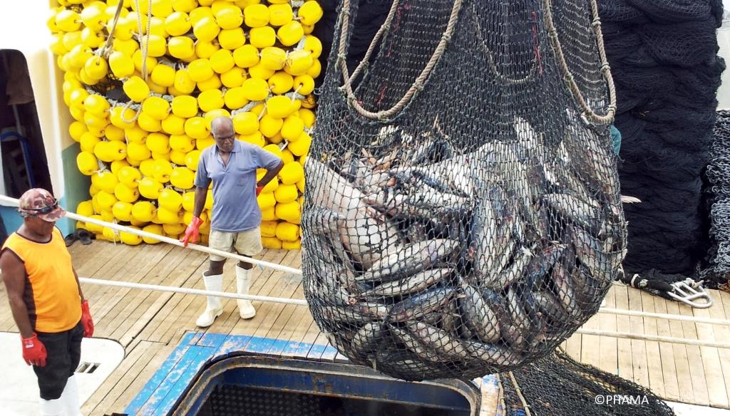 Enhancing laboratory capacity to boost fish exports from the Solomon Islands
