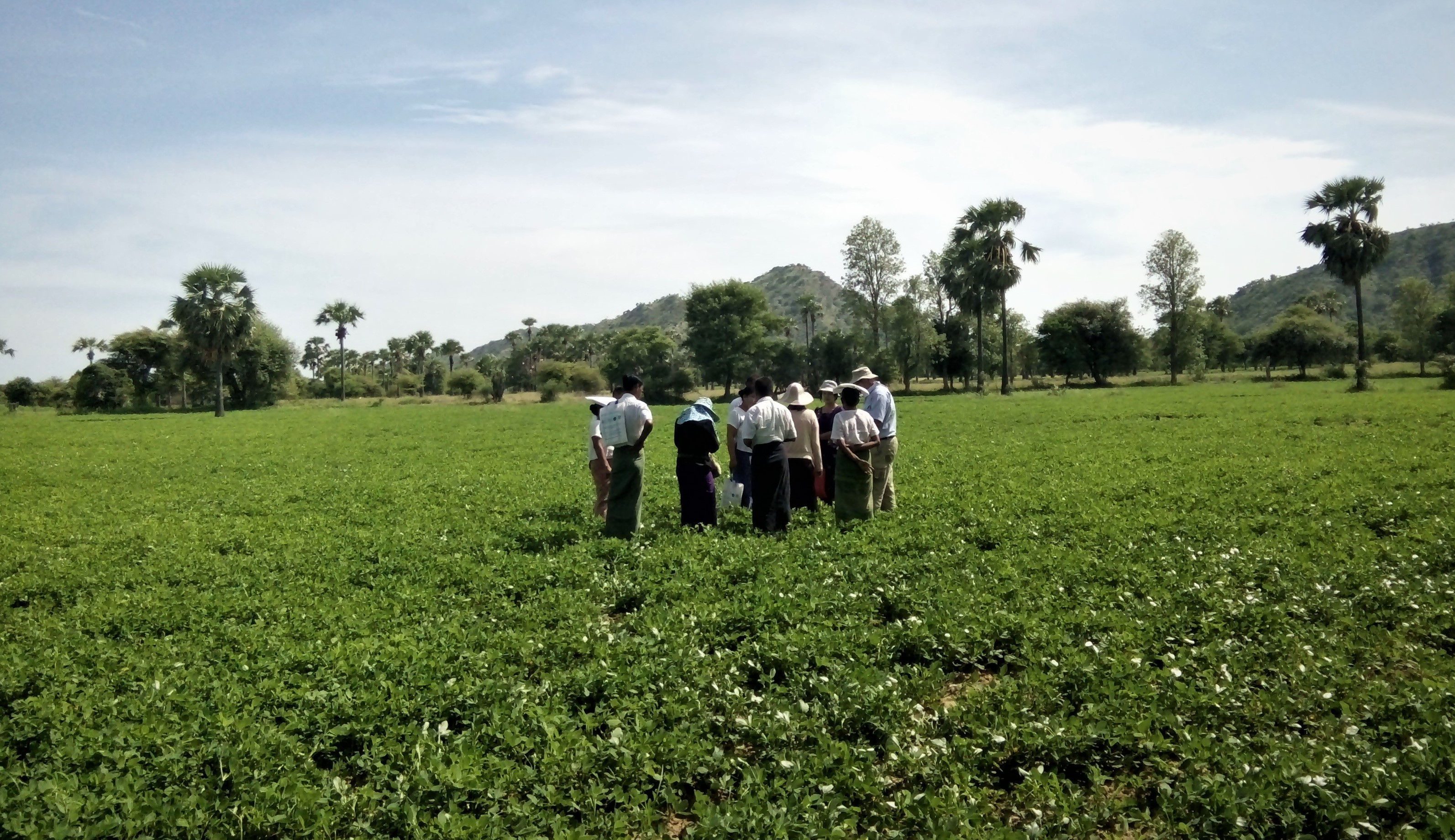 Improving compliance with SPS measures to boost oilseed exports