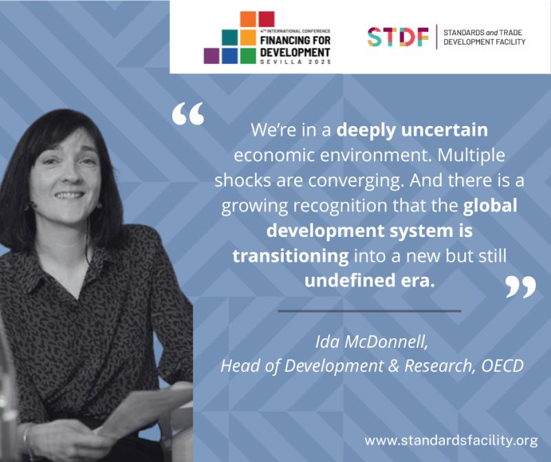 Ida Mc Donnell, Head of Development Co-operation Research, OECD