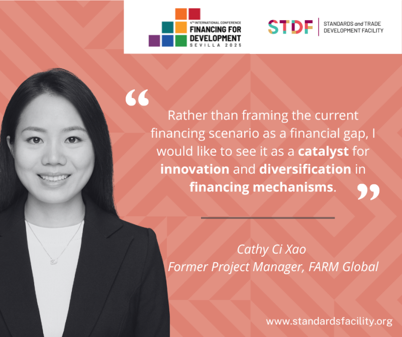 Cathy Xi Cao, Former Project Manager, FARM Global 