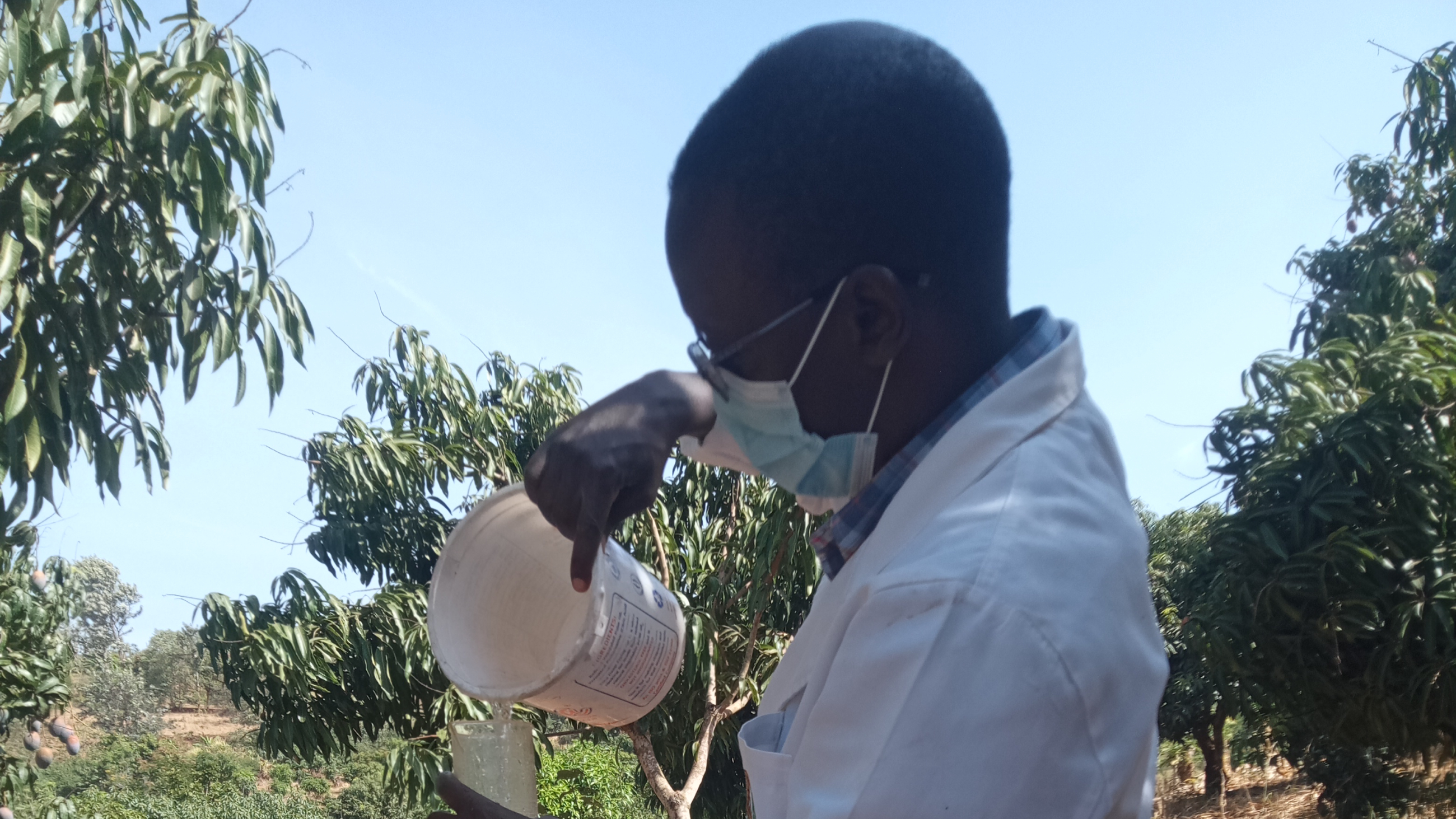 Plant health sampling